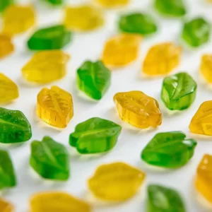 Feuilles d'Automne aux fruits